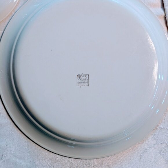 VTG Lot of 3 Cornerstone Summer Mist Corningware Dinner Plates + Bowl USA - Picture 5 of 6